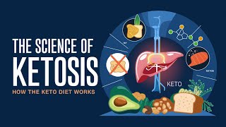 The Science of Ketosis How the Keto Diet Works [upl. by Enois661]