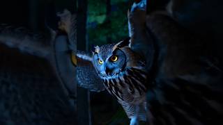 Moonlit Hunter The Owls Deadly Descent shorts ytshorts [upl. by Sedinoel]