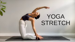 15 Minute Yoga Stretch Break  Open Your Body amp Feel Amazing [upl. by Araiet]