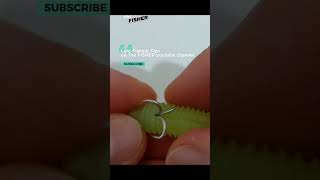 Catch More Fish with Soft Plastic Lures fishing bassfishing lurefishing [upl. by Aerdnaid]