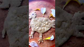 Birds Shape Chapati for kids easy chapati videos [upl. by Yznyl456]