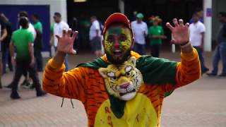 England amp International Cricket at the Ageas Bowl [upl. by Caren183]