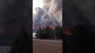 Grand County  Fire Grand County  East Troublesome Fire  Granby Colorado fire  troublesome fire [upl. by Townsend]