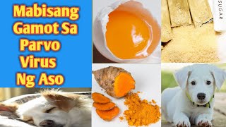 MABISANG GAMOT SA PARVO VIRUS NG ASO  HOME REMEDY  HOW TO TREAT PARVO IN DOG [upl. by Natsreik]