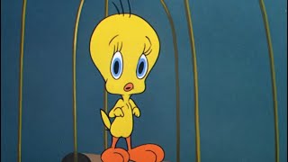 Tweety’s SOS 13 [upl. by Enila]