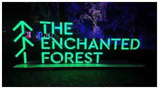 The Enchanted Forest  Symphony of Nature 2024  Pitlochry  Scotland [upl. by Llewej472]