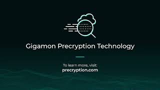 Gigamon Precryption Explainer [upl. by Aicile]