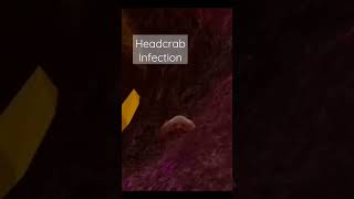 Headcrab Infection onlinegames roblox [upl. by Ahterod49]