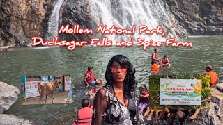 Mollem National Park Dudhsagar Falls Nandanvan Spice Farm by Safari Jeep by SEE1508 17112024 [upl. by Sou]