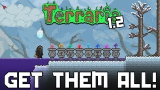 Terraria 12 All 8 Water Fountains Witch Doctor NPC demize [upl. by Drescher764]