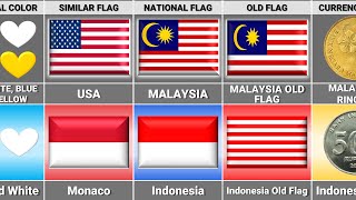 Malaysia vs Indonesia  Country Comparison [upl. by Eilarol]