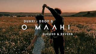 Dunki Drop 5 O Maahi Slowed  Reverb  Arijit Singh  Shah Rukh Khan  Lofi Song  Lyrics [upl. by Allebram]