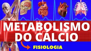 CALCITRIOL a forma ativa da vitamina D  MK Fisiologia [upl. by Geordie]