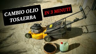 CAMBIO OLIO RASAERBA FAI DA TE IN 3 MINUTI  BRICOLAGE  MANUTENZIONE TAGLIA ERBA BRIGGS E STRATTON [upl. by Joelynn]