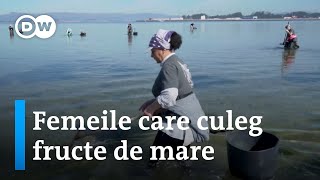 Mariscadoras  Femeile care culeg fructe de mare [upl. by Isabelita]