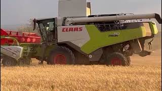 tractorvlog  CLAAS TRION 710 amp CLAAS AVERO 240 [upl. by Sedicla214]