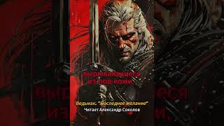 Ведьмак Последнее желание Читает А Соколов аудиокнига thewitcher диктор озвучка мистика [upl. by Thoer]