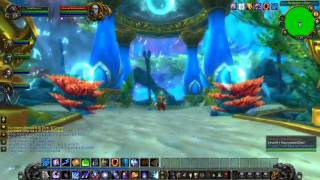 WoW Cataclysm Guide  Throne of Tides Dungeon Run with commentary [upl. by Eilra]