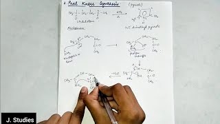 Paal Knorr Synthesis with mechanism  Organic Chemistry  BSc 3rd year chemistry hpu bsc [upl. by Ahsaei]