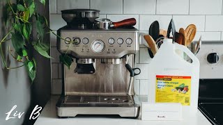 How to Clean Breville Barista Express Espresso Machine [upl. by Allista]