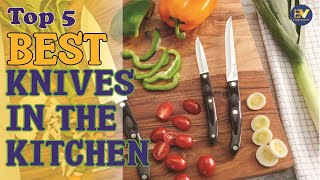 Best Knives In The Kitchen ON Sale 2023  Top 5 Knives Review [upl. by Nodnab]