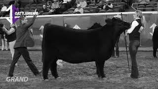 2024 Cattlemens Congress amp NWSS [upl. by Ingaberg]