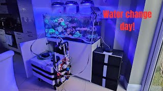 Water Change Day [upl. by Haek]