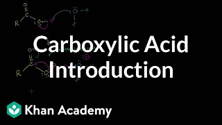 Carboxylic acid introduction  Carboxylic acids and derivatives  Organic chemistry  Khan Academy [upl. by Elleahcim]