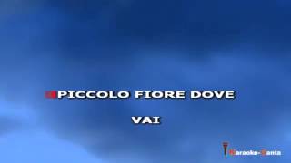 Teppisti Dei Sogni  Piccolo Fiore Video karaoke [upl. by Doi581]