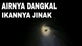 MENOMBAK IKAN MALAM HARI DAPAT BANYAK NILA SIDAT BAUNG [upl. by Arykat]