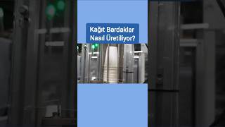 KAĞIT BARDAKLAR NASIL ÜRETİLİYOR [upl. by Akemyt]