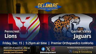 Garnet Valley vs Penncrest • Delaware Hockey Network [upl. by Anitrak]