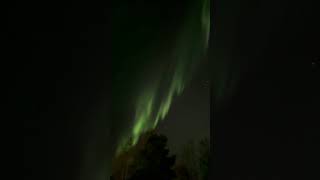 Rovaniemi polar lights [upl. by Kcid]