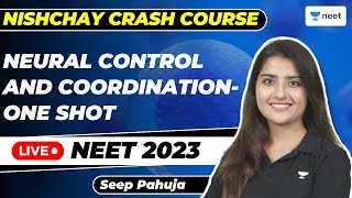 Neural Control and Coordination  One Shot  Nishchay  Seep Pahuja [upl. by Icken]