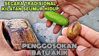 TRADISIONAL 350 RAHASIA BELIMBING KILATAN BATU AKIK [upl. by Eblehs]