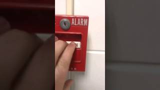 Fire Alarm Pull firealarm alarm fire firefighter fireman testing siren pull funny shorts [upl. by Halian203]