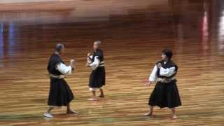 2013少林寺拳法世界大会 in OsakaJapan 家族演武 [upl. by Slosberg]