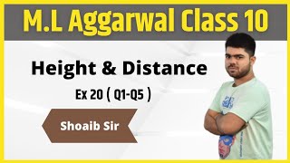 Class 10  ML Aggarwal  Height amp Distance  Ex 20  Part 01 [upl. by Anilys]