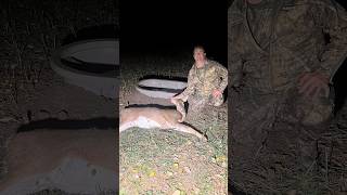 First doe kill with bow archery bow compound deer whitetaildeer treestand kill nature hunt [upl. by Kaiulani]