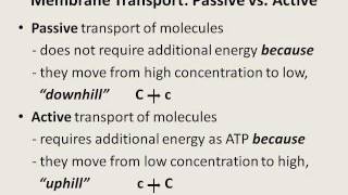 Membrane Transport  Diffusion Osmosis Filtration Phagocytosis etc [upl. by Nydnarb]