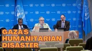 Gazas Humanitarian Disaster UN Special Rapporteurs Call for Action [upl. by Symer576]