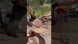 Stihl MS362 C M vs 16” Aussie Hardwood Shorts [upl. by Joub]