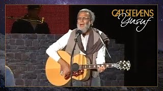 Yusuf  Cat Stevens – Dont Be Shy Live at Festival Mawazine 2011 [upl. by Elohcan753]