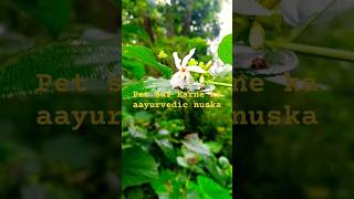 aayurved gharelu nuska manraj khariareelnature aayodhya flowers gharelu nuskhe harsingar [upl. by Treva]