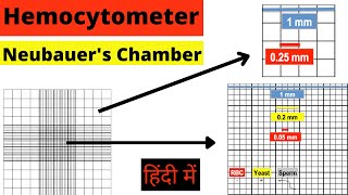 Hemocytometer  Neubauer chamber  RBC count  WBC count  Cell Count  Calculation  Hindi mlt [upl. by Doone450]