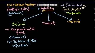 Clostridium botulinum infection [upl. by Dolores]