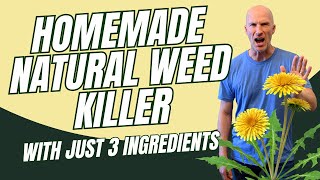 Homemade Natural WEED KILLER with Just 3 Ingredients [upl. by Enyahc309]