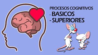 🧠Procesos Cognitivos Básicos amp Complejos [upl. by Eydnarb]