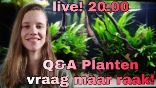 Live Aquariumplanten Houden TOP STREAM Nickey [upl. by Ognimod]