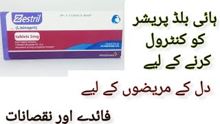 zestril tablet uses in Urdu hypertension zestril 10 mg lisinopril for high blood pressure [upl. by Yanehc397]